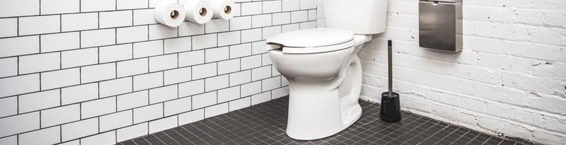 Commercial Toilet in a large bathroom